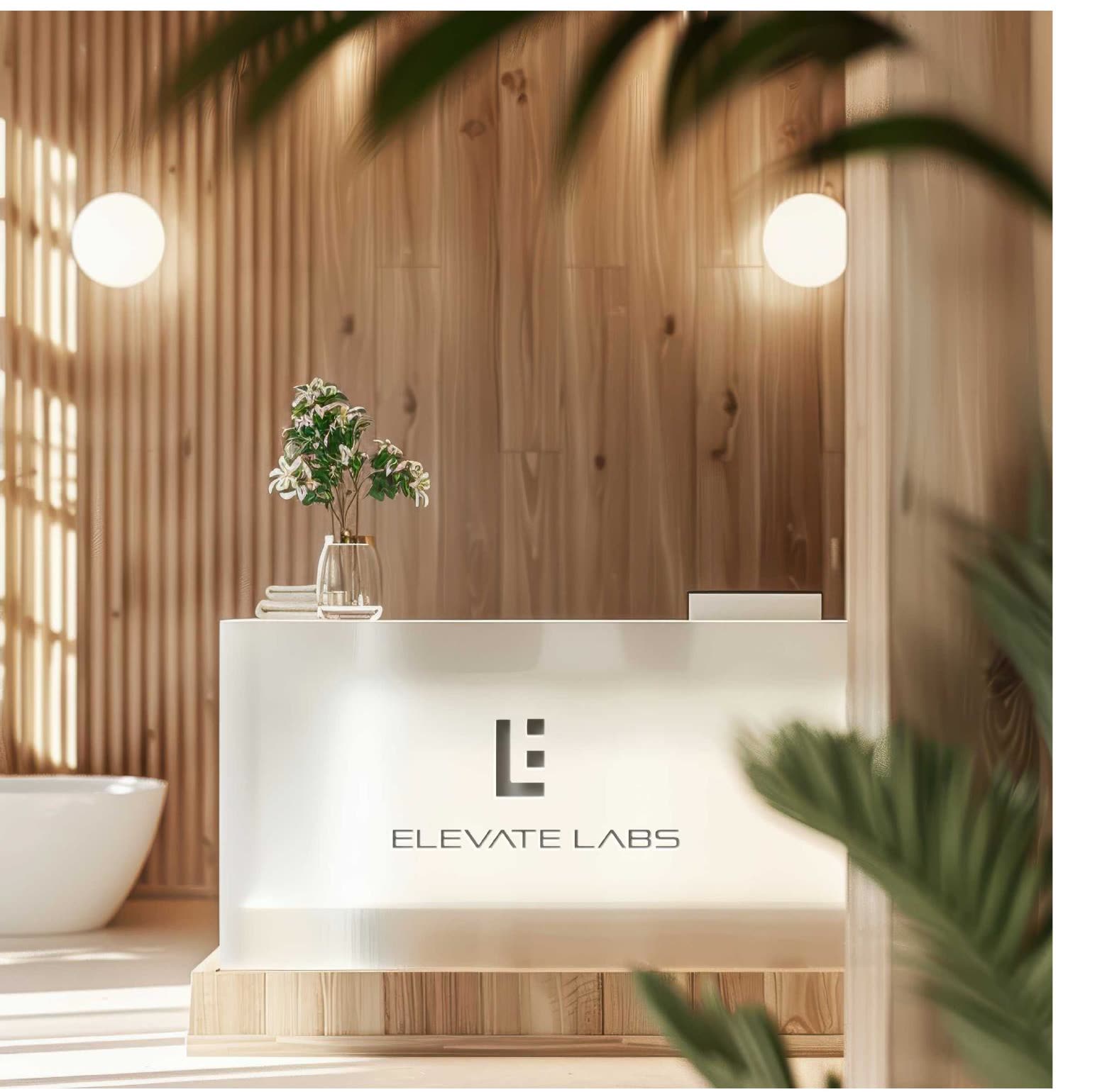 Elevate Labs reception desk in warm timber, softened by indoor planting.